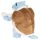 Pokémon Plüsch - Blastoise / Turtok - 30cm