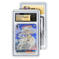 GradedGuard Standard Case (CGC) - Schutzhülle für Slabs