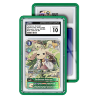 GradedGuard Standard Case (CGC) - Schutzhülle für Slabs