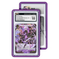 GradedGuard Standard Case (CGC) - Schutzhülle für Slabs