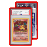 GradedGuard Standard Case (PSA) - Schutzhülle...