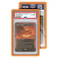GradedGuard Standard Case (PSA) - Schutzhülle für Slabs Grün