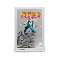 AGORO - Marvel - Comic Covers - Wolverine #1 Foil with...