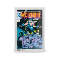 AGORO - Marvel - Comic Covers - Wolverine #1 Foil with Chase Silber