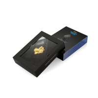 AGORO - Disney - Blind Box - Donald Duck & Gold Chase