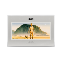 AGORO - Star Wars - Concept Art - C-3PO and R2-D2 Foil