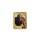 AGORO - Art of Marvel - Trading Coins 2026