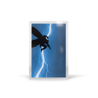 AGORO - DC - Blind Box - Dark Knight Returns Foil & Gold Chase Signed by Frank Miller