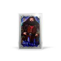 AGORO - Harry Potter 25 Years of Magic - Harry Potter Blind Box Foil