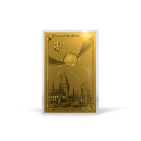 AGORO - Harry Potter 25 Years of Magic - Harry Potter Blind Box Foil