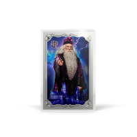 AGORO - Harry Potter 25 Years of Magic - Harry Potter Blind Box Foil