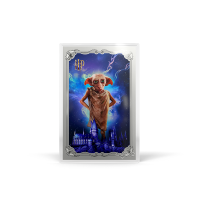 AGORO - Harry Potter 25 Years of Magic - Harry Potter Blind Box Foil