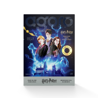AGORO - Harry Potter 25 Years of Magic - Harry Potter Blind Box Foil