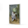 AGORO - Star Wars - Master Yoda Blind Box Foil