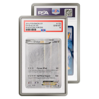 GradedGuard Metallic Case (PSA) - Schutzhülle für Slabs