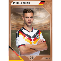 PCCards - DFB Fußballnationalmannschaft 2026 Blind Box - Edelmetall Karten