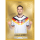 PCCards - DFB Fußballnationalmannschaft 2026 Blind Box - Edelmetall Karten