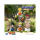Holly Box Naruto Shippuden Ichikaru Ramen Blind Box
