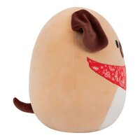 Squishmallow Plüsch - Daryl Hund - 30cm